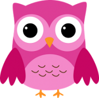 Little Pink Owl