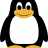 penguin2906